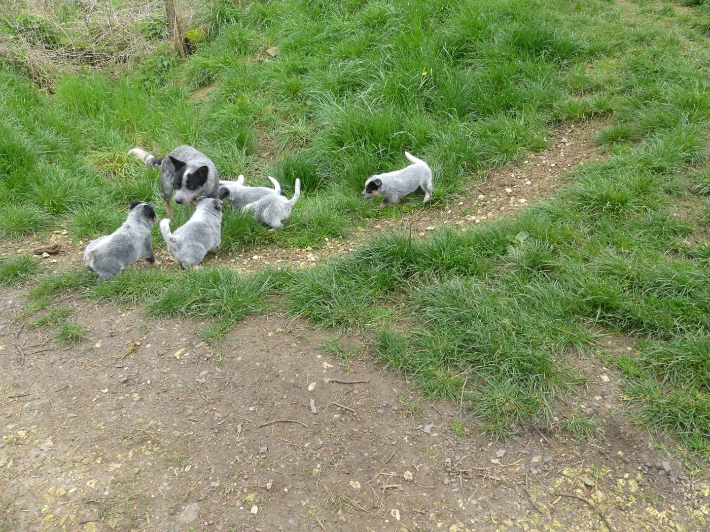 Portée disponible!!